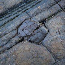 Rock in a Hard Place