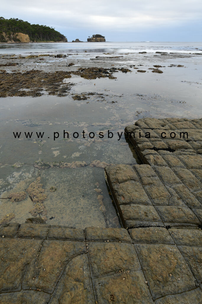 The Tessellated Pavement
