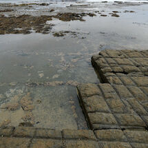 The Tessellated Pavement