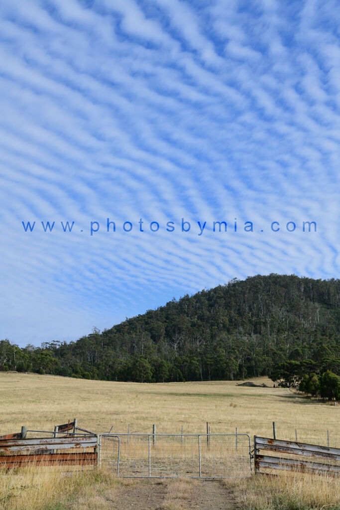 Farm Gate and Clouds