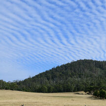 Farm Gate and Clouds