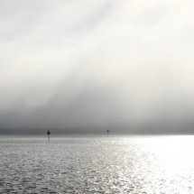 Misty Morning