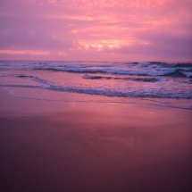 Pink Sunrise