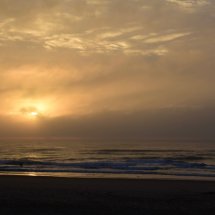 Yellowing Dawn