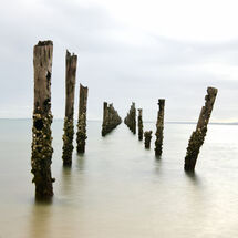 Bridport Jetty