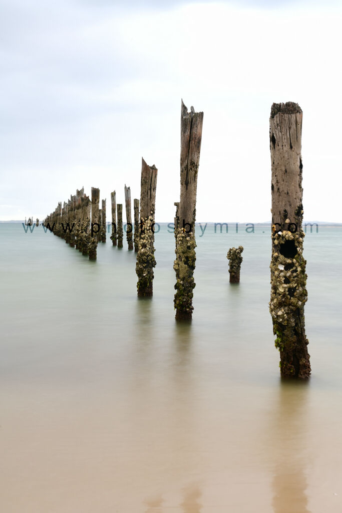 The Old Jetty