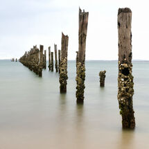 The Old Jetty