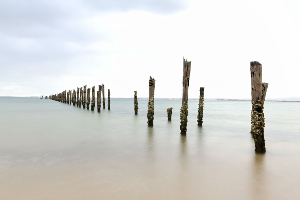Along the Jetty Sticks