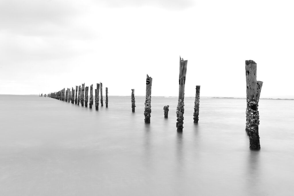 Along the Jetty Sticks B&W