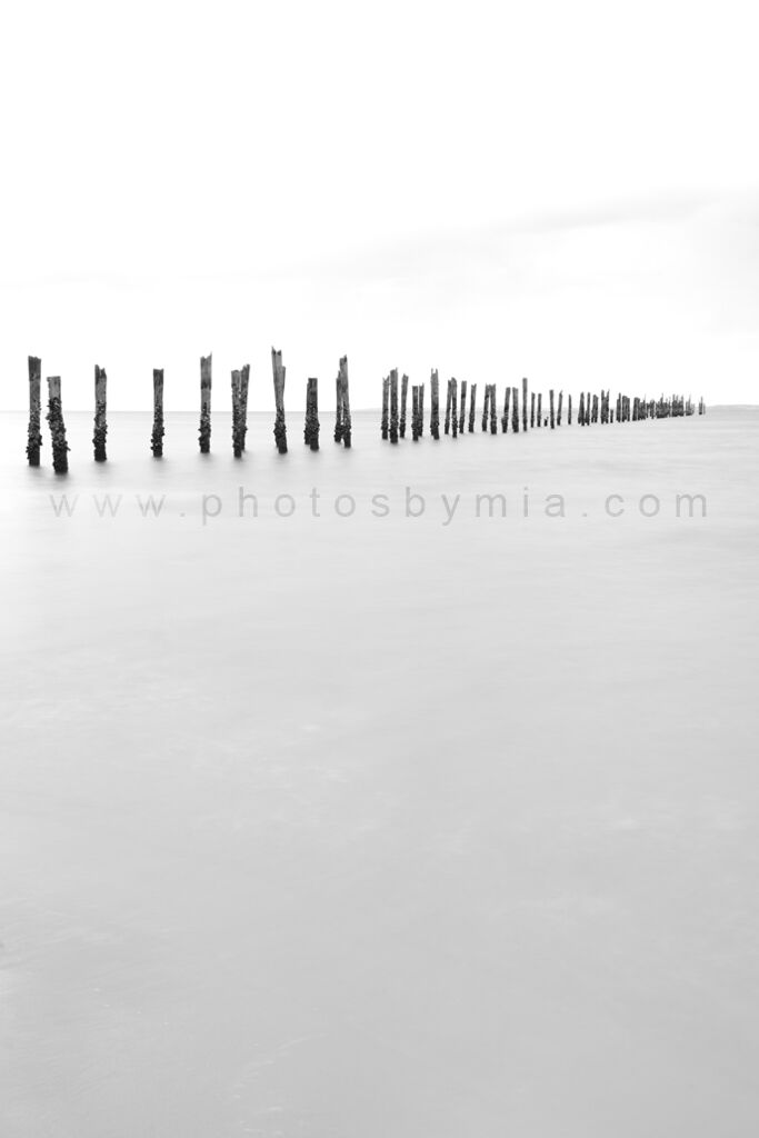 Poles on the Horizon in B&W