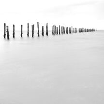 Poles on the Horizon in B&W