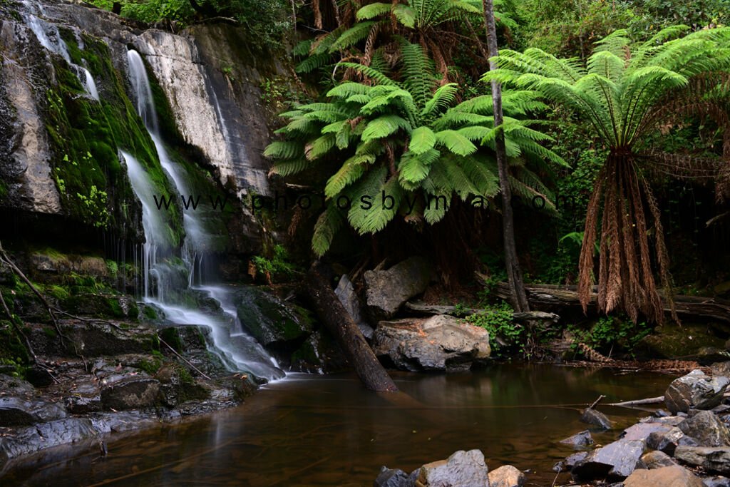 Waterfall Fernery