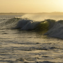 Golden Wave