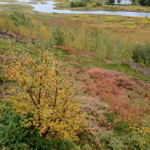 Þingvellir in Autumn