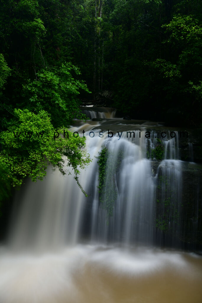 Buderim Greenery Flow
