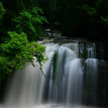 Buderim Greenery Flow