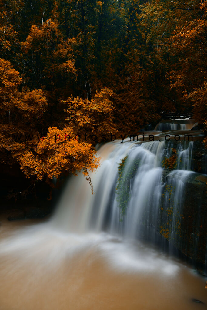 Fall Falls