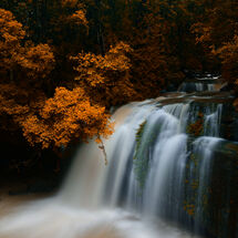 Fall Falls