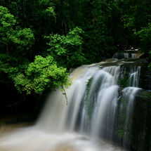 Green Falls