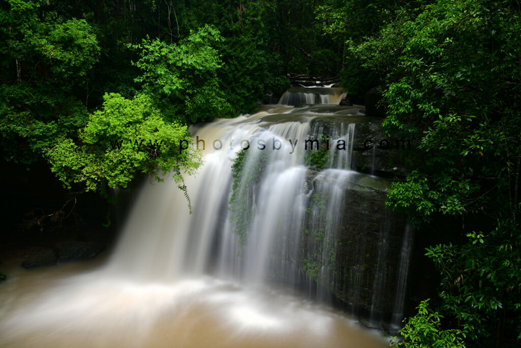 Buderim Falls