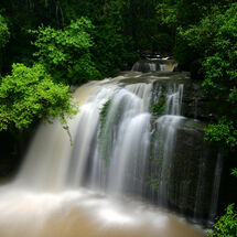Buderim Falls