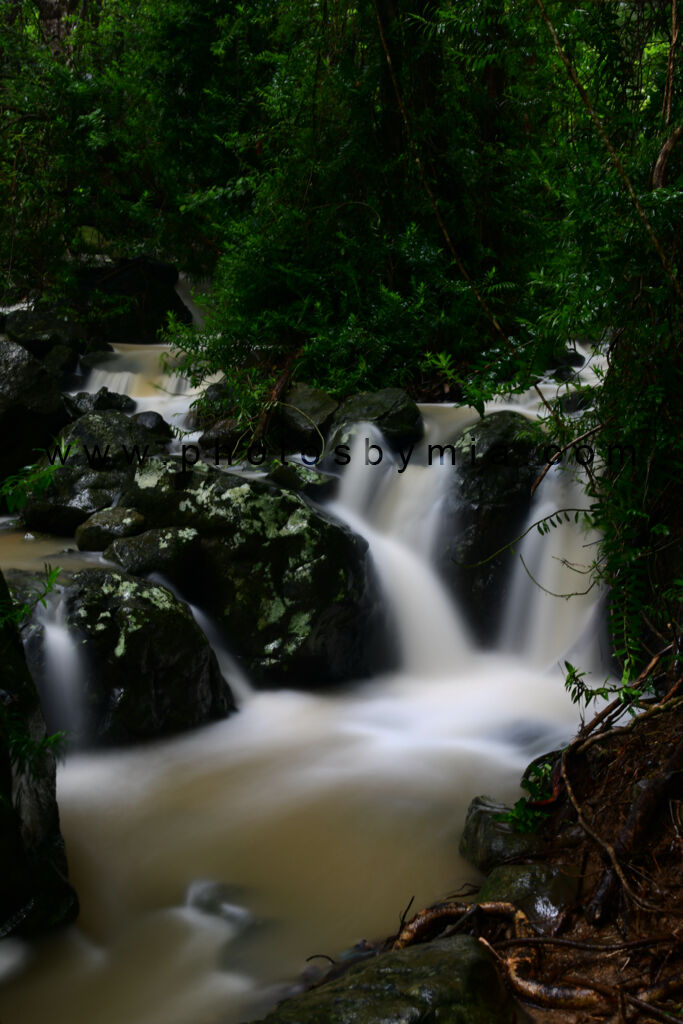 Along the Flowing Creek