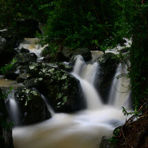 Along the Flowing Creek