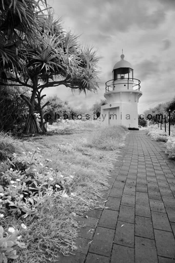 Path to the Lighthouse