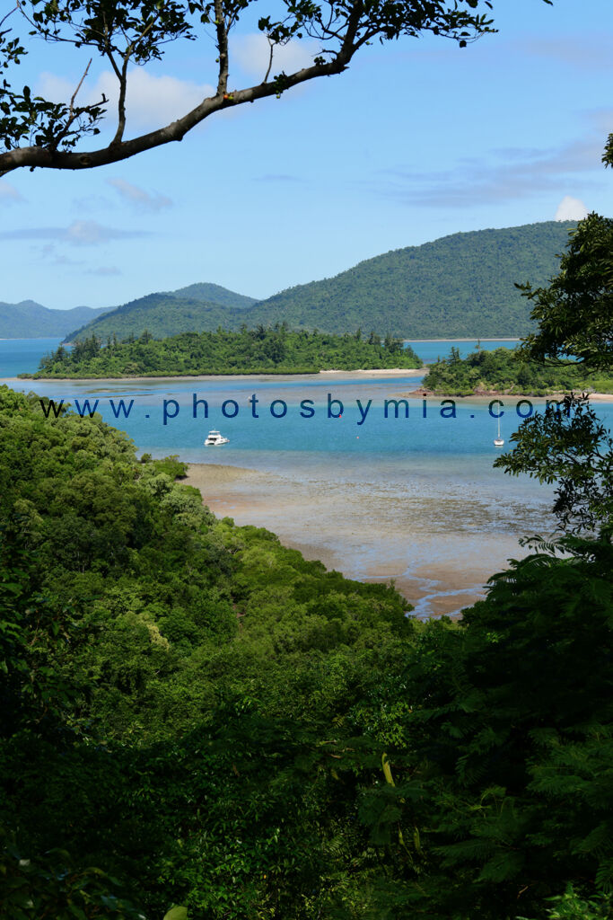 Low Tide in the Harbour