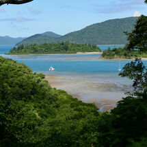 Low Tide in the Harbour
