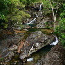 Falls from the Bridge