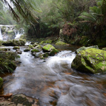 Halls Falls