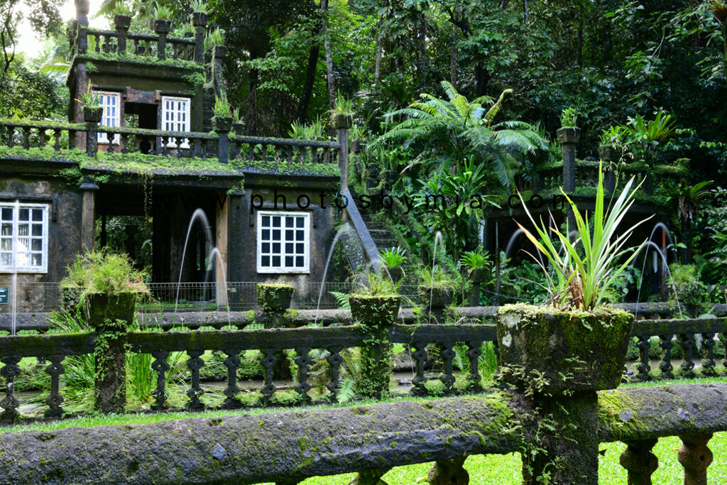 The Lower Refreshments Room