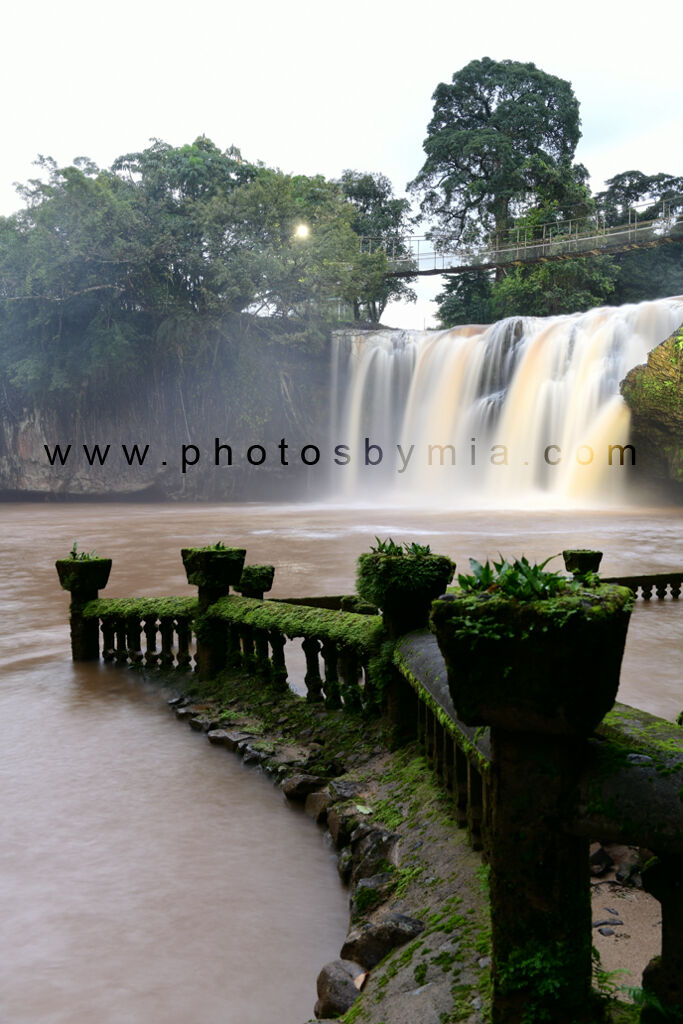 Picnic under the Falls