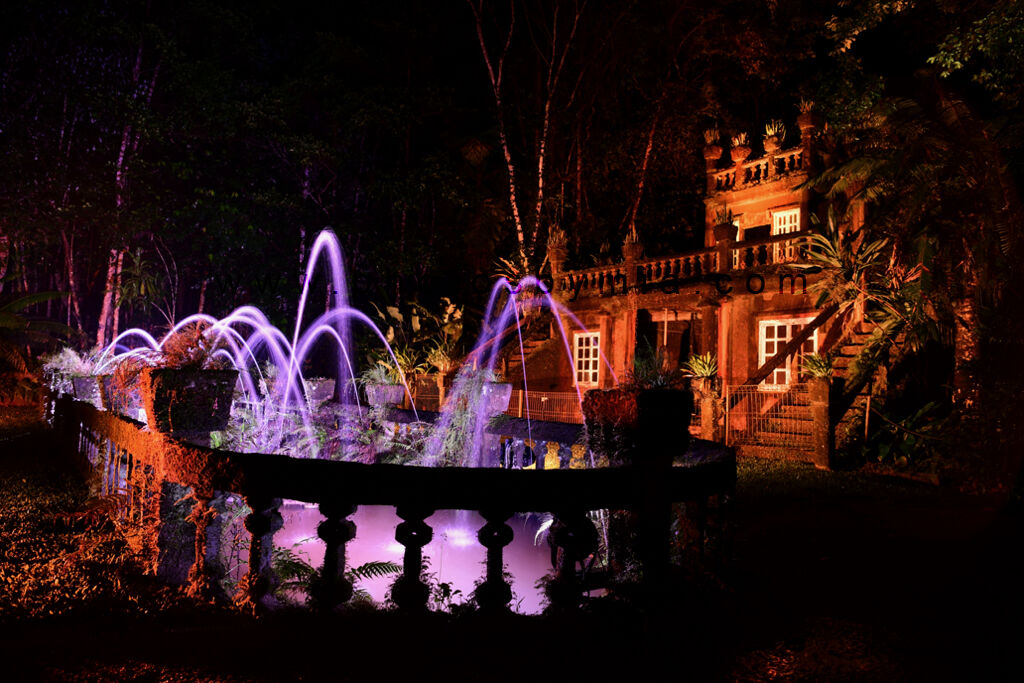 Purple Fountain Light