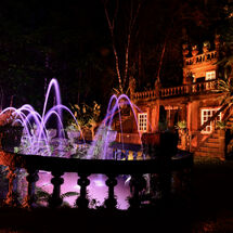 Purple Fountain Light
