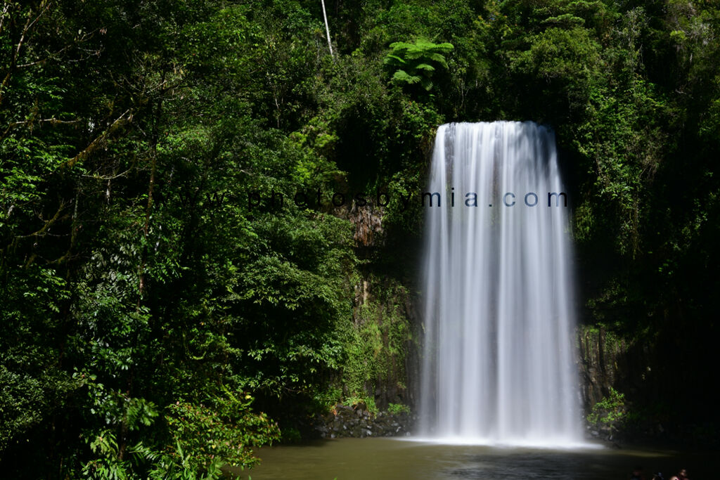 Millaa Millaa Falls