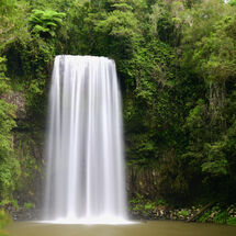 Rainforest Falls
