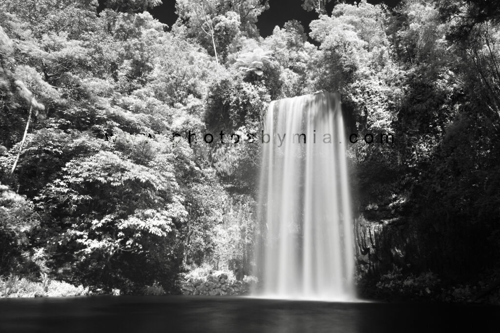 Millaa Millaa in Infrared