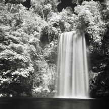 Millaa Millaa in Infrared