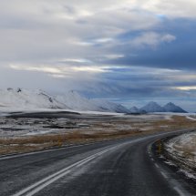 Road Trip