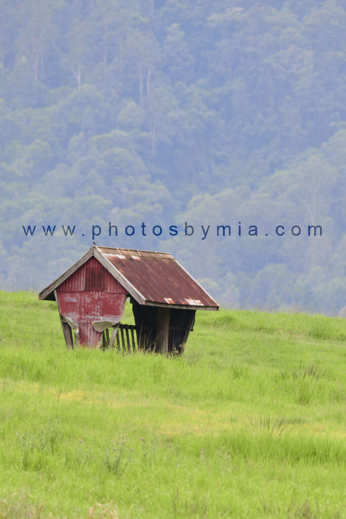 The Feed Hut