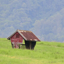 The Feed Hut