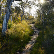 Sun Flare Path
