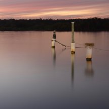 Nesting Pole