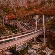 Crossing the Bridge