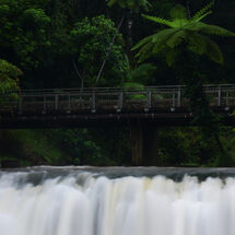 Malanda Falls