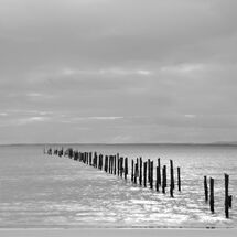 Bridport Pier in B&W