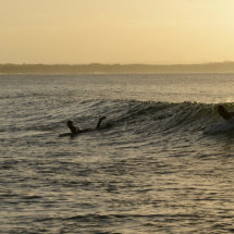 Sunset Surf