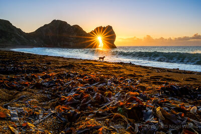 Durdle Door Sunrise